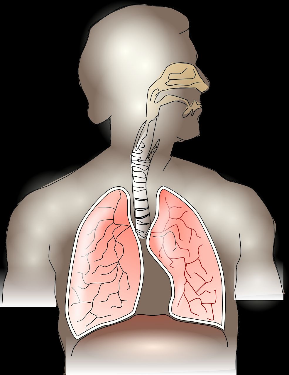 Jak leczy się choroby dróg oddechowych?